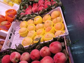 北京开阳里生鲜 社区美食的活力源泉与品质生活之选