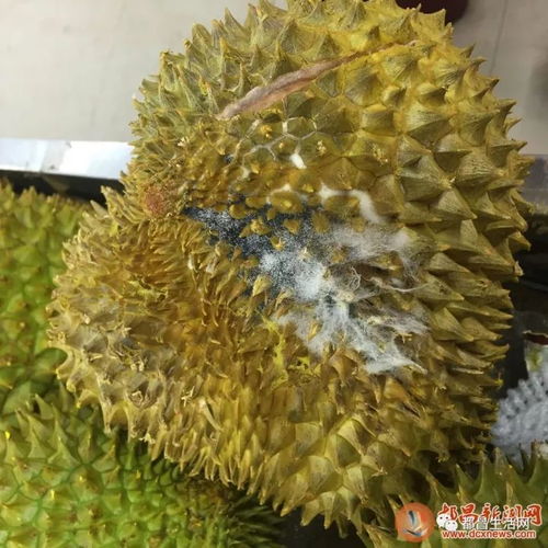 都昌福德龙超市生鲜区惊现变质商品，食品安全警钟再次敲响